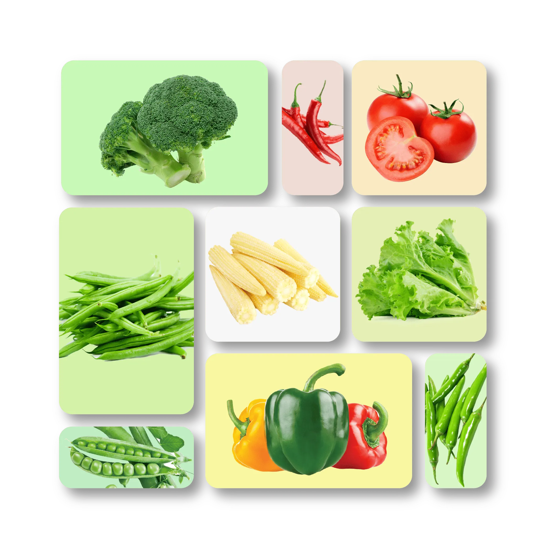 Fresh & Exotic Vegetable Picks